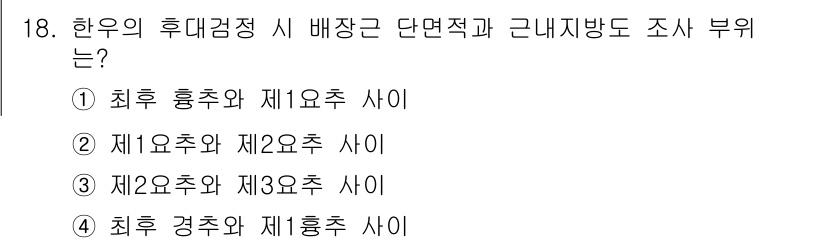 축산산업기사 2016년 18번 - 후대정과 관련된 배장근 단면적을 조화롭게 분배하기 위해서는 경추와 흡추가... 에 관한 핵심 기출문제