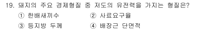 축산산업기사 2016년 19번 - 정답은 3번 "듀케"입니다. 듀케는 돼지의 주요 경제형질 중 하나로, 생... 에 관한 핵심 기출문제