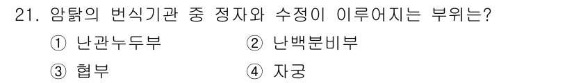 축산산업기사 2016년 21번 - . 암탉의 번식기관 중 정자와 수정을 이루는 부위는 난관두부로, 여기에서... 에 관한 핵심 기출문제