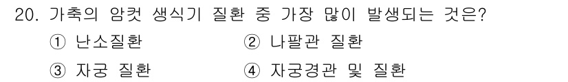 축산산업기사 2018년 20번 - 가축의 암컷 생식기 질환 중 가장 많이 발생하는 것은 난소질환입니다. 난... 에 관한 핵심 기출문제