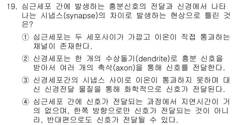 의공기사 2017년 19번 - 정답인 이유는, 신경세포 간의 시냅스에서 발생하는 흥분신호는 주로 시냅스... 에 관한 핵심 기출문제