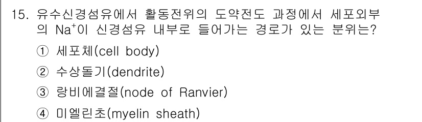 의공기사 2018년 15번 - 정답은 1. 세포체(cell body)입니다. 세포체는 신경세포의 핵과 ... 에 관한 핵심 기출문제