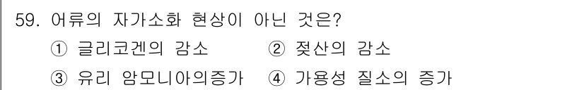 식품가공기능사 2015년 59번 - 유리 암모니아의 증가는 어류의 자가소화 현상과 관련이 없으며, 이는 주로... 에 관한 핵심 기출문제