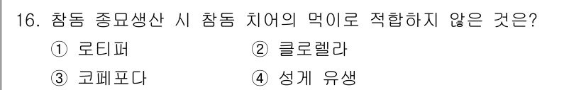 수산양식기사 2015년 16번 - 염두에 두어야 할 점은 클로렐라가 미세조류로 일반적으로 많은 해양 생물의... 에 관한 핵심 기출문제