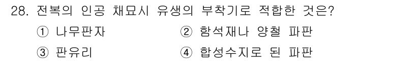 수산양식기사 2015년 28번 - 전복의 인공 채묘 시 유생의 부착기로 가장 적합한 것은 '파우리'입니다.... 에 관한 핵심 기출문제
