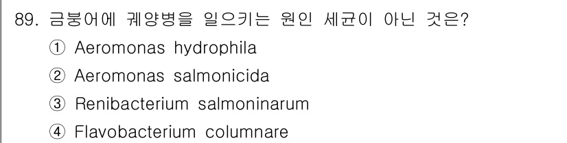 수산양식기사 2015년 89번 - 금붕어에 케양병을 일으키는 원인은 주로 Aeromonas 속의 세균들이다... 에 관한 핵심 기출문제