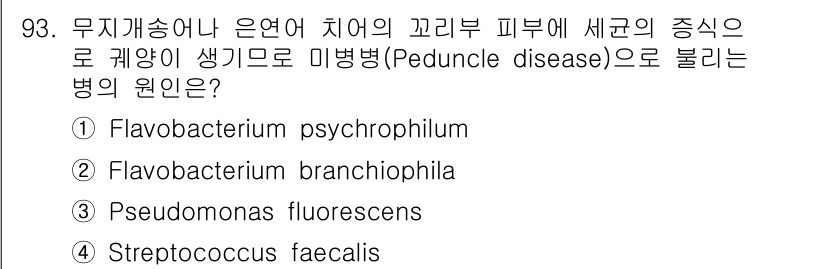 수산양식기사 2015년 93번 - Peduncle disease는 주로 Flavobacterium psyc... 에 관한 핵심 기출문제