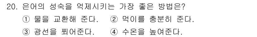 수산양식기사 2016년 20번 - 은어의 성숙을 억제하는 가장 좋은 방법은 먹이를 충분히 주는 것이다. 이... 에 관한 핵심 기출문제