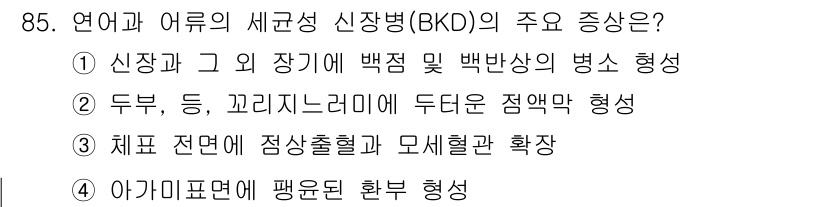 수산양식기사 2016년 85번 - BKD(백분병)는 주로 체내 전염과 관련된 증상으로, 장기 출혈과 모세혈... 에 관한 핵심 기출문제