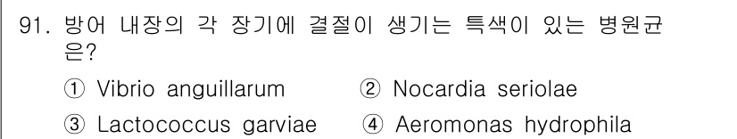 수산양식기사 2016년 91번 - 정답은 4번 Aeromonas hydrophila입니다. 이 병원균은 수... 에 관한 핵심 기출문제