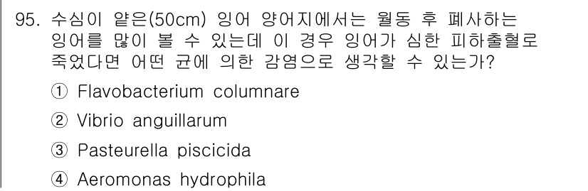 수산양식기사 2016년 95번 - . 

정답인 이유는 Flavobacterium columnare가 주로... 에 관한 핵심 기출문제