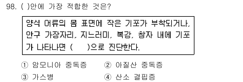 수산양식기사 2016년 98번 - 1번, 암모니아 중독증이 가장 적합하다. 암식 어류의 몸 표면에 작은 기... 에 관한 핵심 기출문제