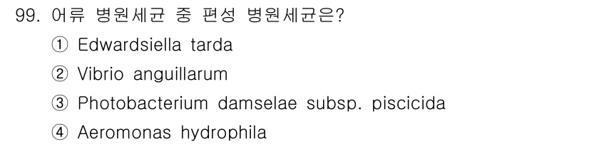 수산양식기사 2016년 99번 - Vibrio anguillarum은 어류에 주로 영향을 미치는 병원균으로... 에 관한 핵심 기출문제