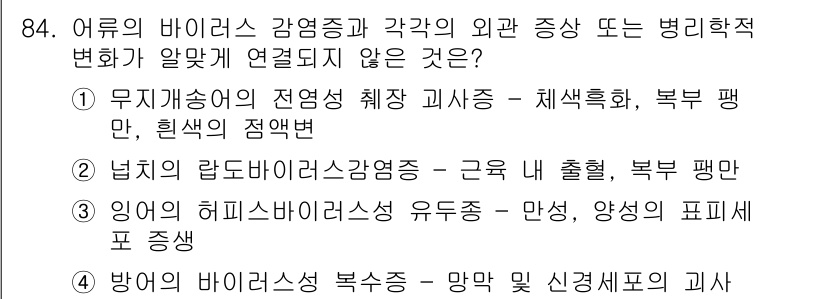 수산양식기사 2017년 86번 - 3번인 "잉어의 히프리바이러스 유두종 - 만성, 양식의 표피 증생"은 어... 에 관한 핵심 기출문제