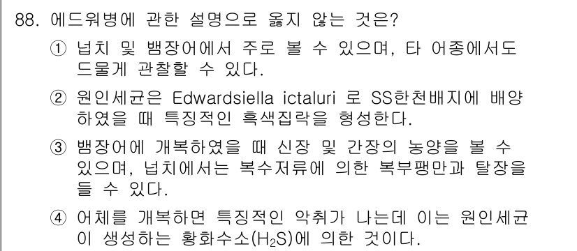 수산양식기사 2017년 90번 - . 에드워드새우는 SS천배지에 배양되면 특징적인 흡색질감을 형성하지 않는... 에 관한 핵심 기출문제