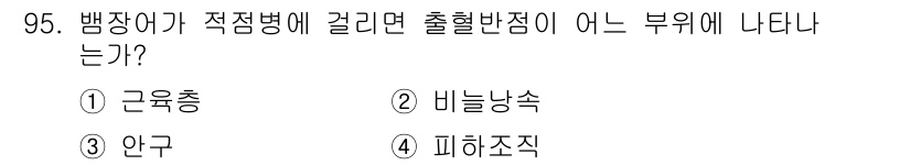 수산양식기사 2017년 97번 - 정답은 3번 '안구'입니다. 병장어에서 적정병이 발생할 경우, 출혈 반점... 에 관한 핵심 기출문제