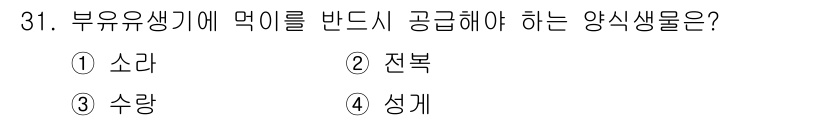 수산양식기사 2018년 31번 - . 전복  
해설: 전복은 부유유생기에 먹이를 받아들이기 위해 충분한 영... 에 관한 핵심 기출문제
