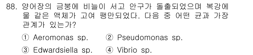 수산양식기사 2018년 88번 - 정답은 3번, Vibrio sp.입니다. 양어장에서 발생하는 급성 질병에... 에 관한 핵심 기출문제