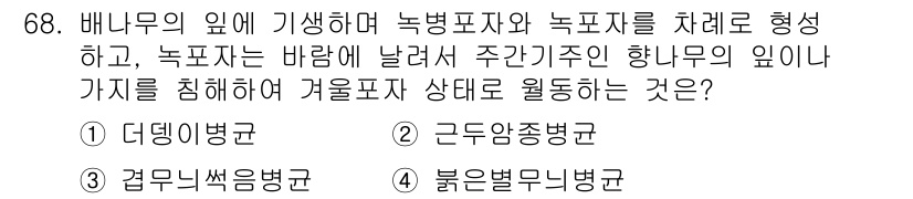 종자산업기사 2015년 68번 - . 붉은별무늬병

붉은별무늬병은 기생균이 배추의 잎에 영향을 미쳐 나타나... 에 관한 핵심 기출문제