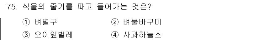 종자산업기사 2015년 75번 - . 낙엽쿨

설명: 식물의 줄기를 파고 들어가는 것은 주로 뿌리나 줄기를... 에 관한 핵심 기출문제