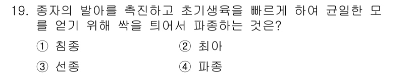 종자산업기사 2016년 19번 - 정답은 2. 최아입니다. 최아는 종자 발아 시 초기 생육을 촉진하여 더욱... 에 관한 핵심 기출문제