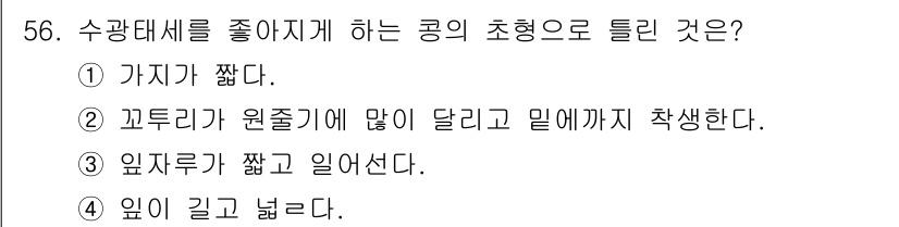 종자산업기사 2017년 56번 - . 까뚜리가 원주기에 많이 달리고 밑에까지 착생한다.  
이유: 수광대체... 에 관한 핵심 기출문제