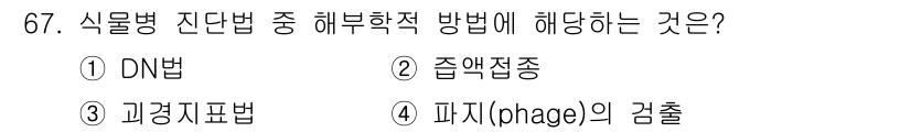 종자산업기사 2017년 67번 - 정답은 4번, 파지(phage)의 검출입니다. 식물병식별법 중 해부학적 ... 에 관한 핵심 기출문제