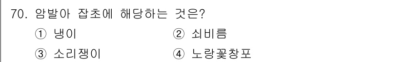 종자산업기사 2017년 70번 - . 냉이  
암발아는 추위나 저온에서 씨앗이 발아하는 현상으로, 주로 겨... 에 관한 핵심 기출문제