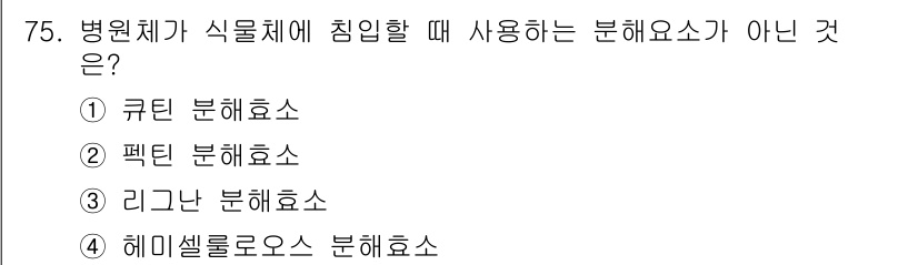 종자산업기사 2017년 75번 - 정답은 2번 '펙틴 분해효소'입니다. 병원체가 식물체에 침입할 때 사용하... 에 관한 핵심 기출문제