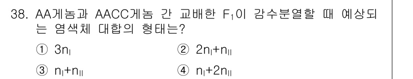 종자산업기사 2018년 38번 - 정답 3번(n + n||)이 선택된 이유는, AA개념과 AACC개념 간의... 에 관한 핵심 기출문제