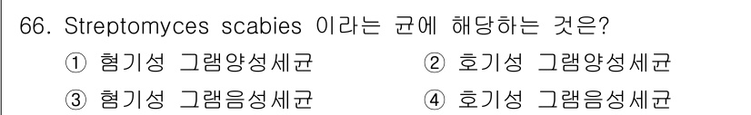 종자산업기사 2018년 66번 - Streptomyces scabies는 호기성 그람양성세균으로, 주로 흙... 에 관한 핵심 기출문제