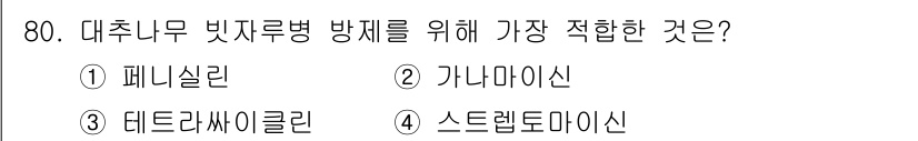 종자산업기사 2018년 80번 - 대추니무 빗자루병은 특정 병원체에 의해 발생하며, 이를 효과적으로 방제하... 에 관한 핵심 기출문제