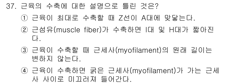 인간공학기사 2018년 37번 - 근육의 수축 시 Z선이 가까워지며, 이는 근육이 수축하는 원리를 설명한다... 에 관한 핵심 기출문제