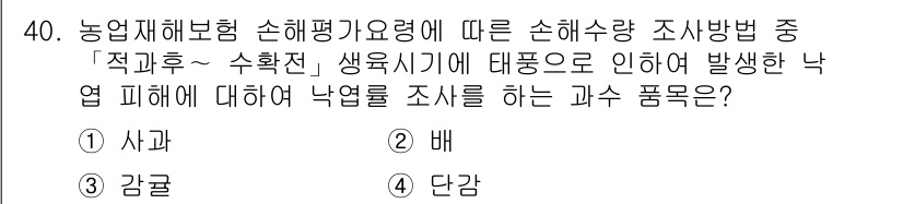 손해평가사 2016년 40번 - 정답 2번 '배'입니다. '배'는 생육기에 발생하는 낙엽 피해와 관련이 ... 에 관한 핵심 기출문제