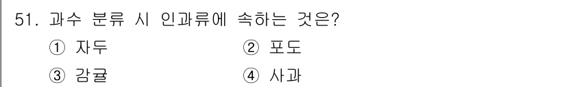 손해평가사 2017년 51번 - 정답은 4번 '시과'입니다. 과수 분류에서 인과류는 복숭아, 자두, 살구... 에 관한 핵심 기출문제