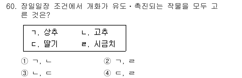 손해평가사 2017년 60번 - 장일장 조건에서 개화가 유도되고 촉진되는 작물은 '사춘'과 '고추'입니다... 에 관한 핵심 기출문제