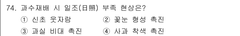 손해평가사 2018년 74번 - 과수재배 시 일조 부족 현상은 시가와 적색이 형성되지 않아 결과적으로 수... 에 관한 핵심 기출문제