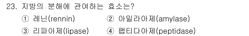 조리산업기사(공통) 2019년 23번 - 정답은 3번 리파아제(lipase)입니다. 리파아제는 지방의 분해를 촉진... 에 관한 핵심 기출문제