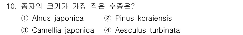 산림기사 2019년 10번 - 정답은 1번 Anus japonica입니다. Anus japonica는 ... 에 관한 핵심 기출문제