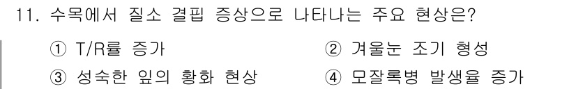 산림기사 2019년 11번 - 정답 3번: 석출한 이의 확화 현상은 수목에서 질소 결핍 증상으로 나타나... 에 관한 핵심 기출문제