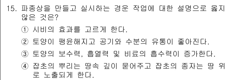 산림기사 2019년 15번 - 정답 4번은 "잠소의 바르기는 땅속 깊이 걸어주고 잠소의 종자는 땅 위로... 에 관한 핵심 기출문제