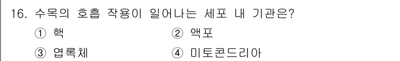 산림기사 2019년 16번 - 수목의 호흡 작용은 미토콘드리아에서 이루어지며, 이 과정에서 에너지를 생... 에 관한 핵심 기출문제