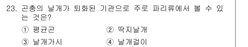 산림기사 2019년 23번 - 정답은 4번 "날개걸이"입니다. 곤충의 날개가 퇴화된 기관으로, 주로 파... 에 관한 핵심 기출문제