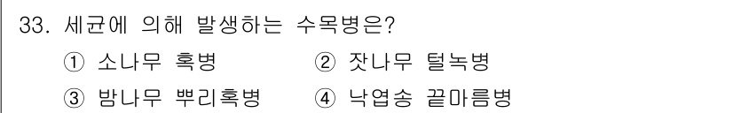 산림기사 2019년 33번 - 수목병은 주로 수종의 생리적 스트레스나 환경적 요인에 의해 발생합니다. ... 에 관한 핵심 기출문제