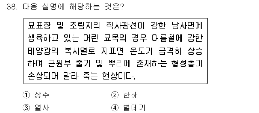 산림기사 2019년 38번 - . 

강한 태양광 저항을 가진 식물은 높은 온도와 강한 햇빛에서 생장 ... 에 관한 핵심 기출문제