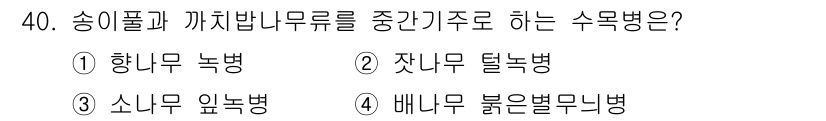 산림기사 2019년 40번 - 정답은 4번, 배누리 붉은별무늬병이다. 이 병은 송리풀과 까치밥나무류를 ... 에 관한 핵심 기출문제