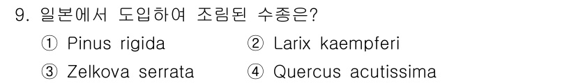 산림기사 2019년 9번 - 일본에서 도입하여 조림한 수종은 **Zelkova serrata**입니다... 에 관한 핵심 기출문제