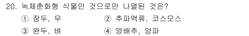 유기농업기사 2019년 20번 - 녹체춘화형 식물은 온도와 일조량에 따라 꽃을 피우며, 양배추와 양파는 이... 에 관한 핵심 기출문제