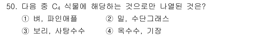 유기농업기사 2019년 50번 - 옥수수와 기장은 식물의 식용 부분이며, 특히 수확 후 가공을 통해 식료품... 에 관한 핵심 기출문제