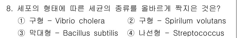 수질환경기사 2019년 8번 - 정답은 3번, 막대형 - Bacillus subtilis입니다. 이는 세... 에 관한 핵심 기출문제